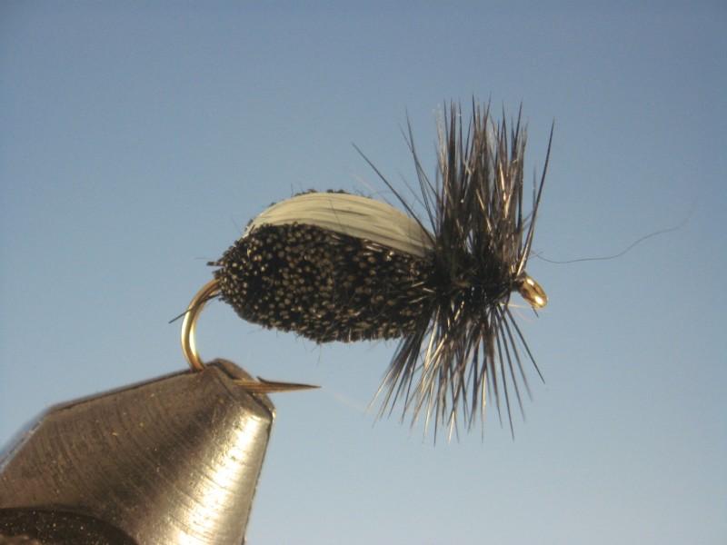 Deerhair Bettle Black - The Trout Spot