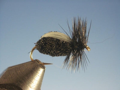 Deerhair Bettle Black - The Trout Spot