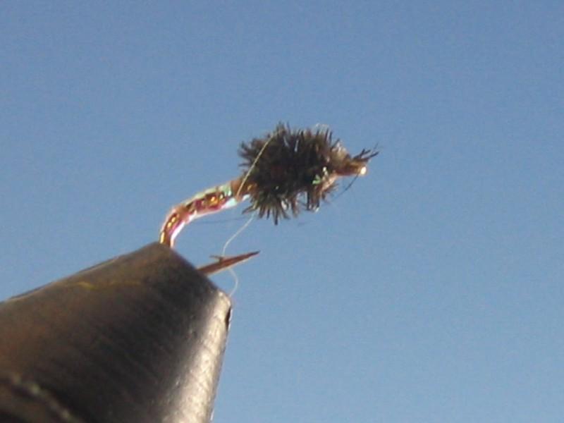 Disco Midge Olive - The Trout Spot