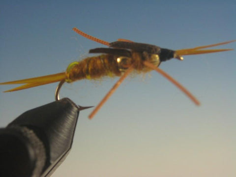 Double Bead Kaufmann Stone Fly Golden Rubber Legs - The Trout Spot
