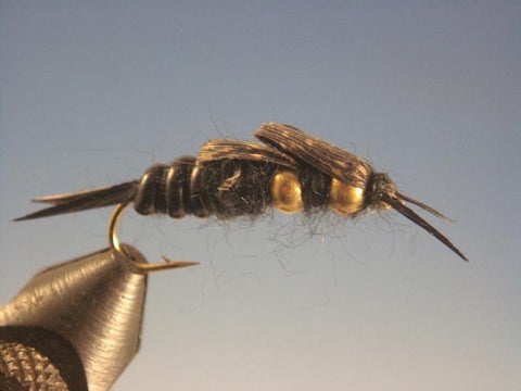 Little Black Stone Fly - The Trout Spot