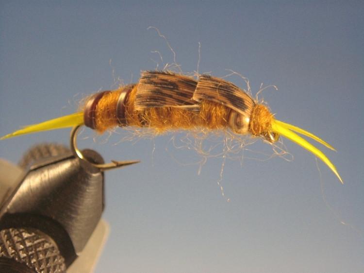 Double Beadhead Kaufmann Golden Stonefly - The Trout Spot
