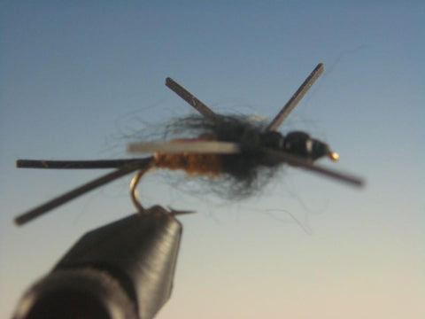 Double Header Golden - The Trout Spot