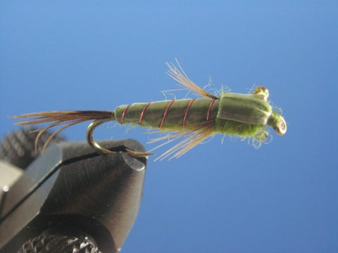 Dragon Fly Nymph - The Trout Spot