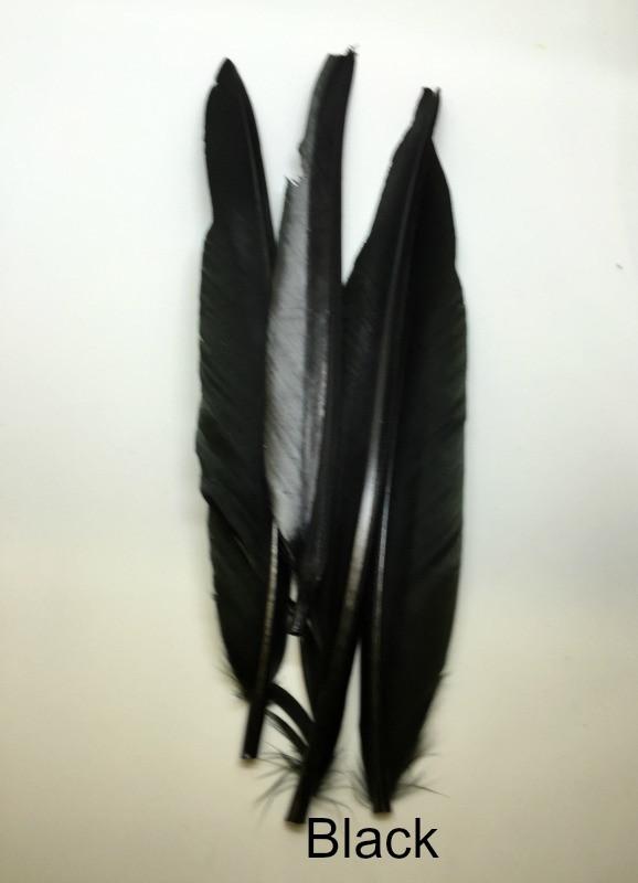 Black Dyed Duck Quill Feathers