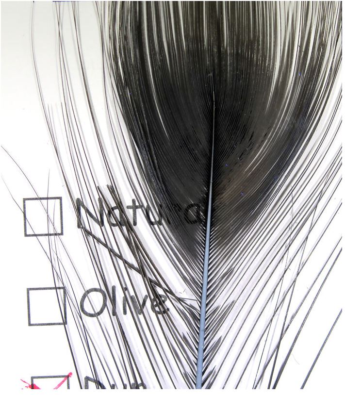 Stripped Peacock Eyes - The Trout Spot