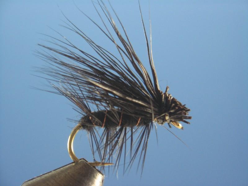 Elk Hair Caddis Black - The Trout Spot