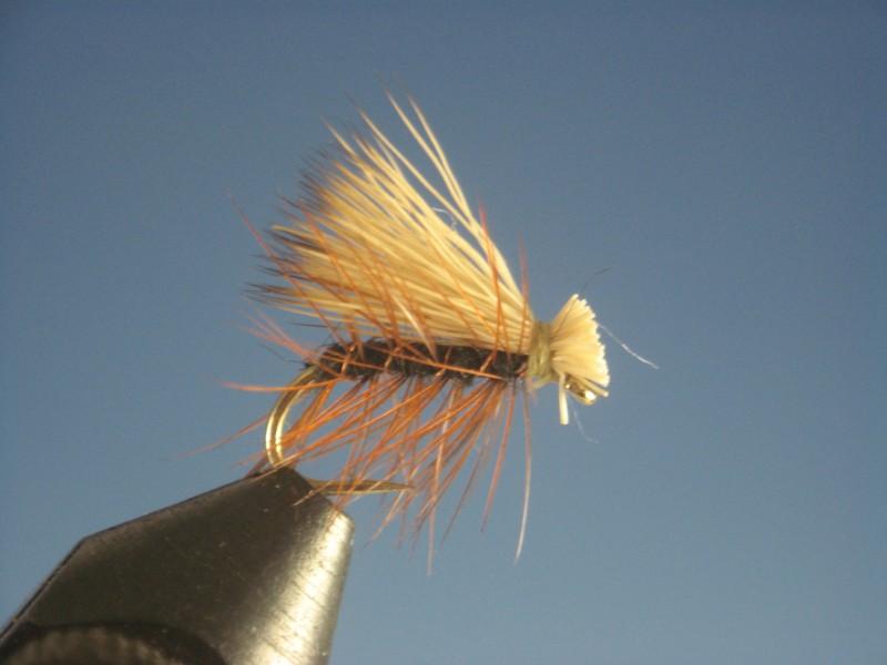 Elk Hair Caddis Natural and Black - The Trout Spot