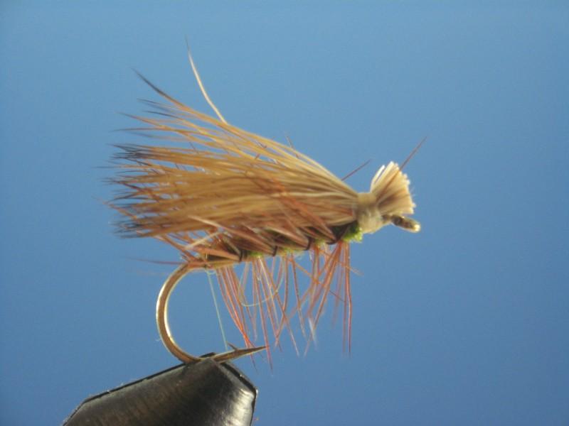 Elk Hair Caddis Olive - The Trout Spot