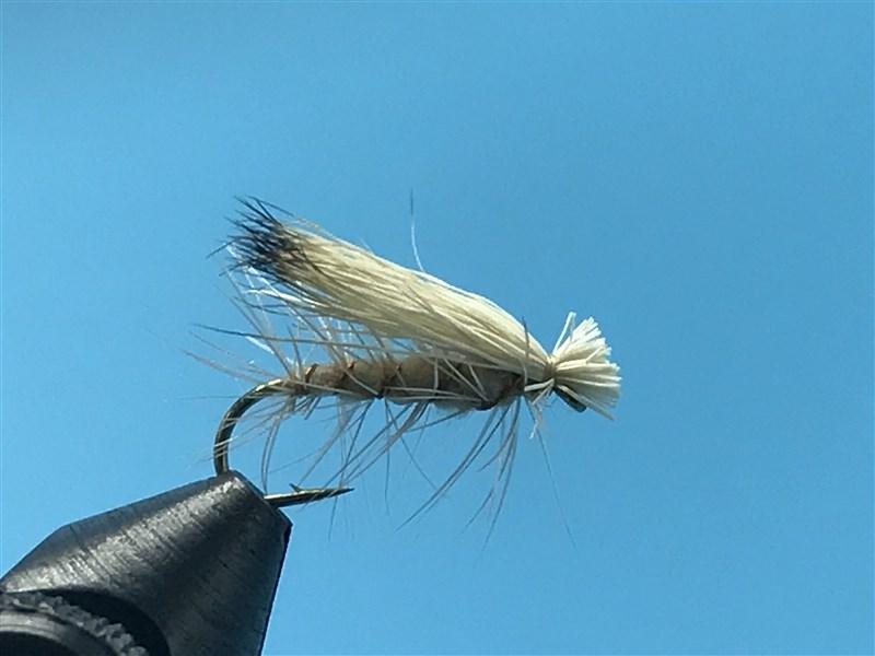 Elk Hair Caddis Tan - The Trout Spot