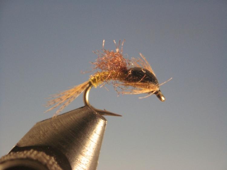 Epoxy Wingcase Blue Wing Olive - The Trout Spot