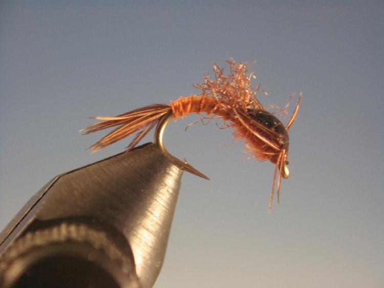 Epoxy Wingcase Pale Morning Dun - The Trout Spot