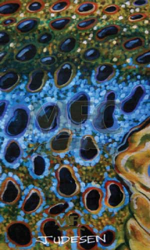 MFC Fish Gaiter Udesen's Montana Brown - The Trout Spot