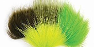 Finn Raccoon - The Trout Spot