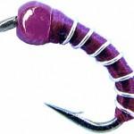 Firebug Midge 3 Pack - The Trout Spot