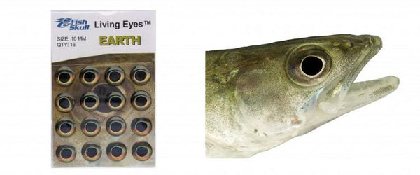 Fish-Skull Living Eyes - The Trout Spot