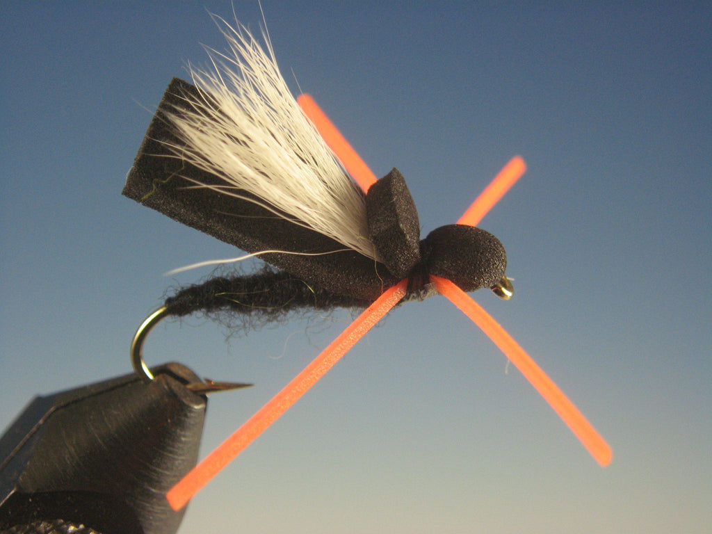 Flat Head Cicada - The Trout Spot