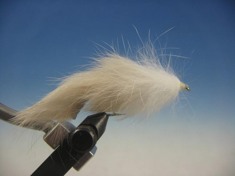 Flesh Fly - The Trout Spot