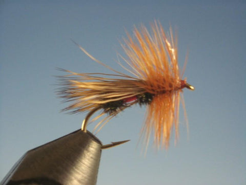 Fluttering Caddis Royal - The Trout Spot