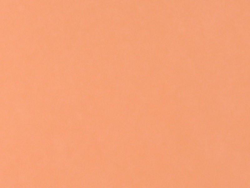 Fly Foam - The Trout Spot