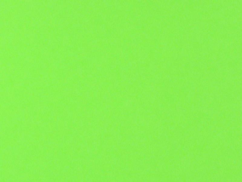 Fly Foam - The Trout Spot