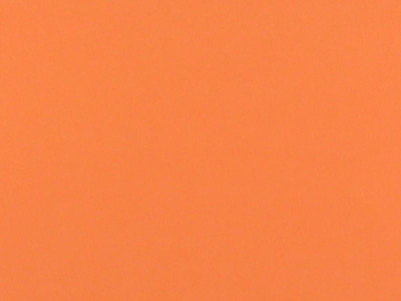 Fly Foam - The Trout Spot