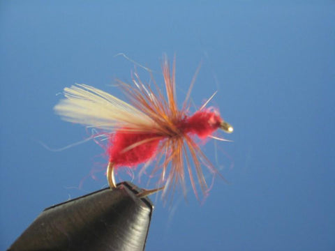 Flying Ant Red - The Trout Spot
