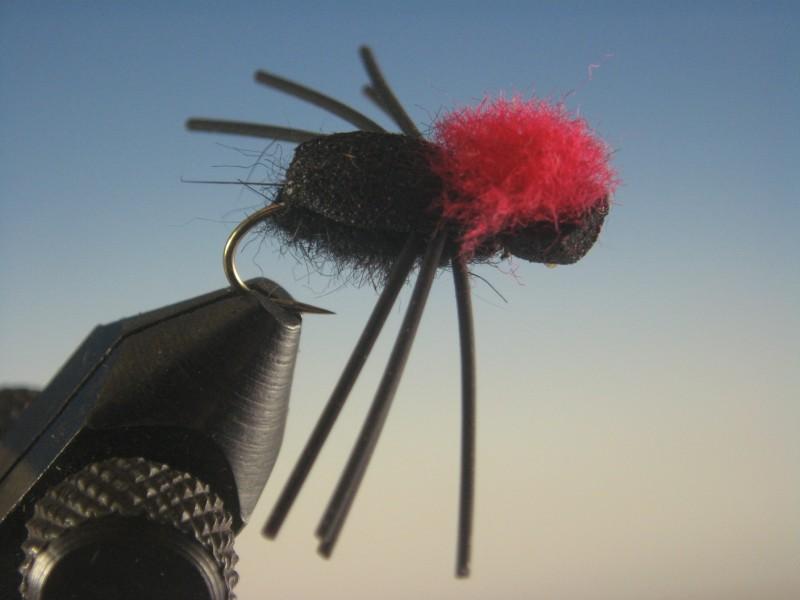 Foam Beetle - The Trout Spot