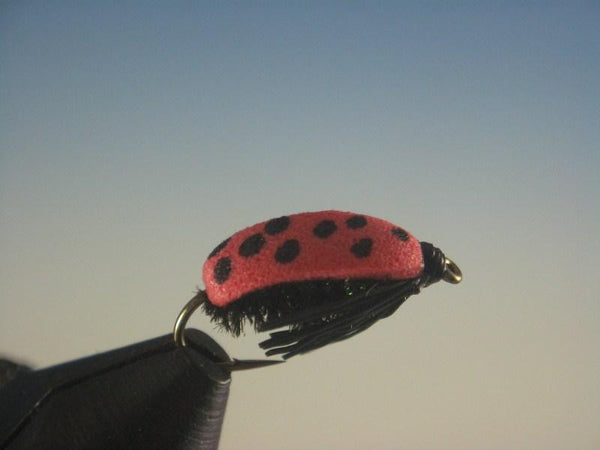 Foam Lady Bug Red - The Trout Spot