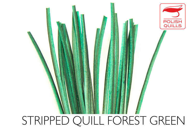 Polish Stripped Peacock Quills Forest Green