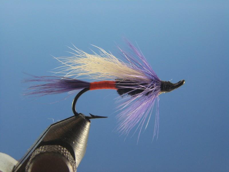 Frieght Train - The Trout Spot