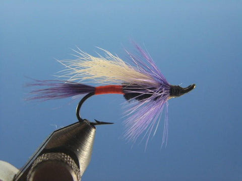 Frieght Train - The Trout Spot