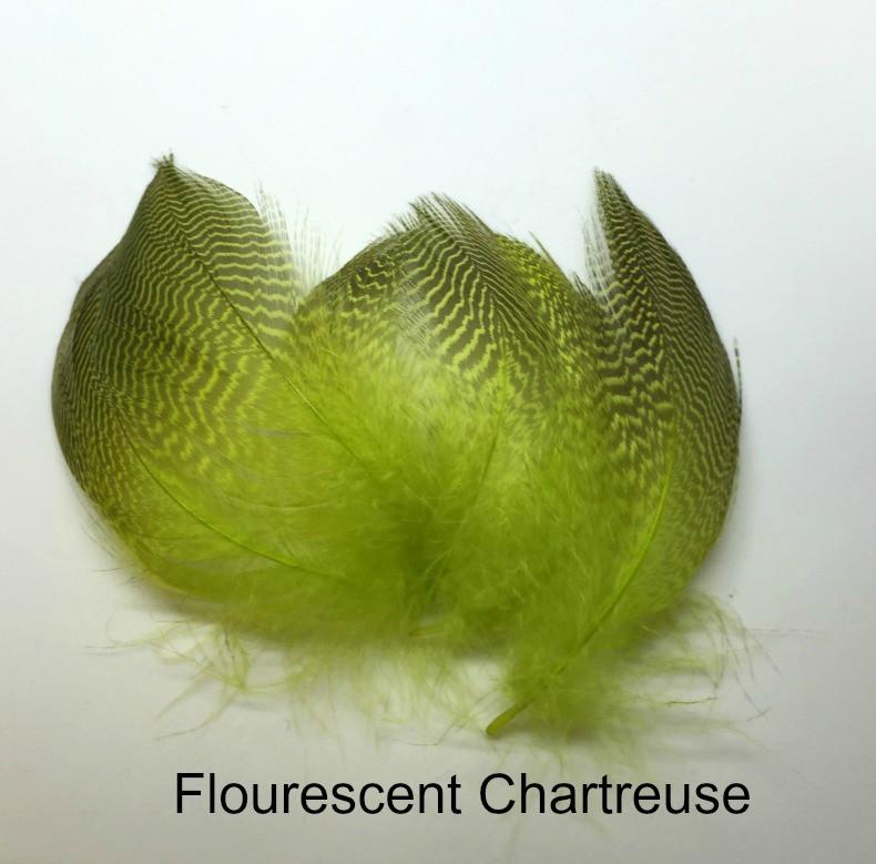 Gadwall Barred Flank - The Trout Spot