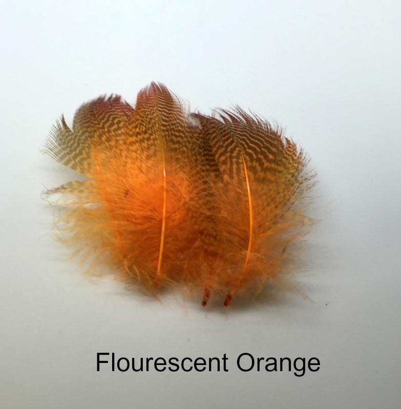 Gadwall Barred Flank - The Trout Spot