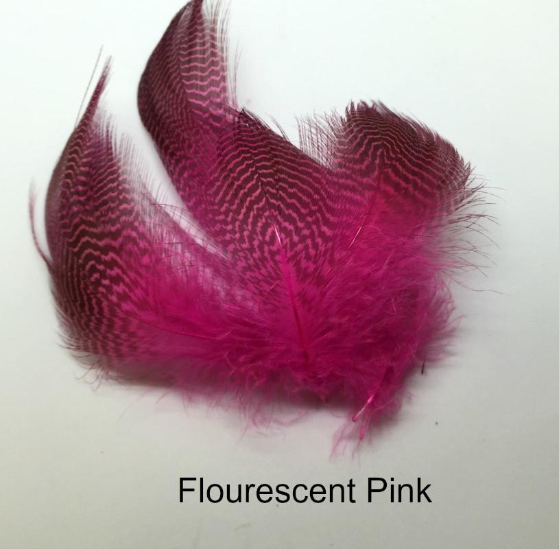 Gadwall Barred Flank - The Trout Spot