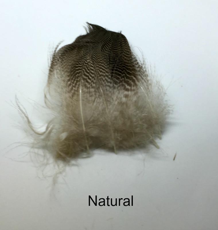 Gadwall Barred Flank - The Trout Spot