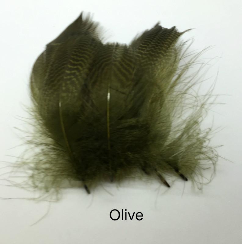 Gadwall Barred Flank - The Trout Spot