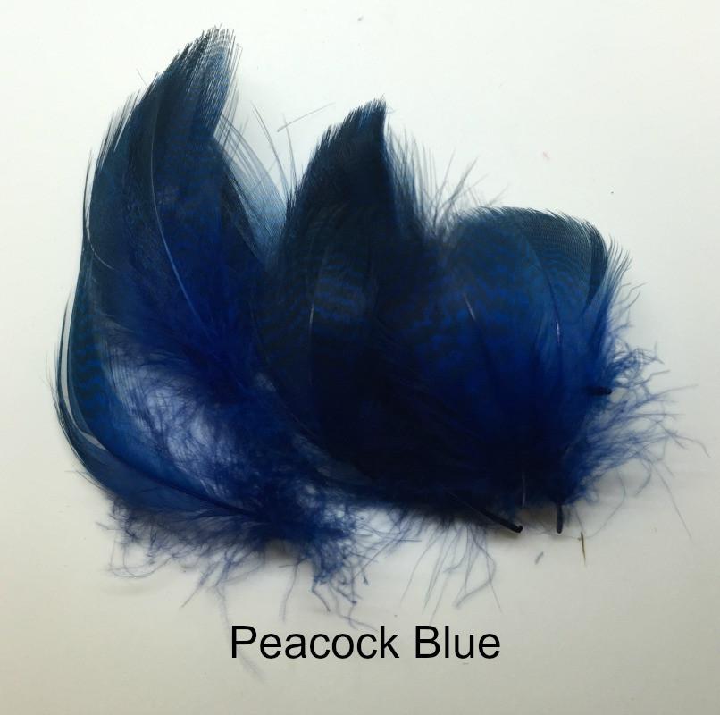 Gadwall Barred Flank - The Trout Spot