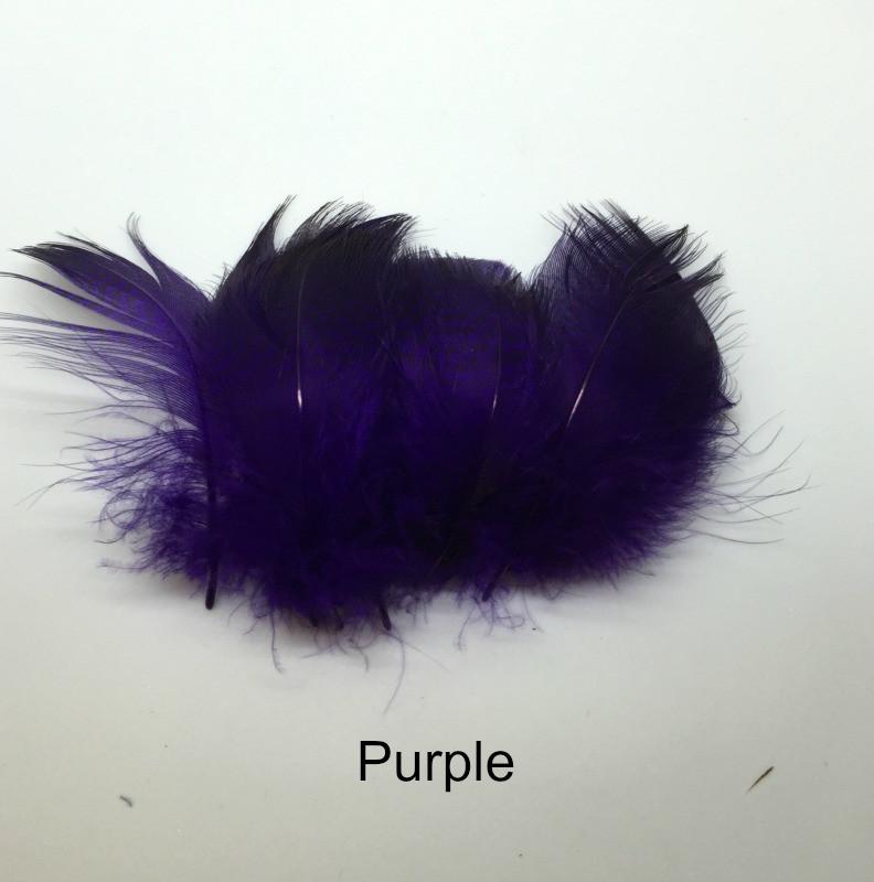 Gadwall Barred Flank - The Trout Spot