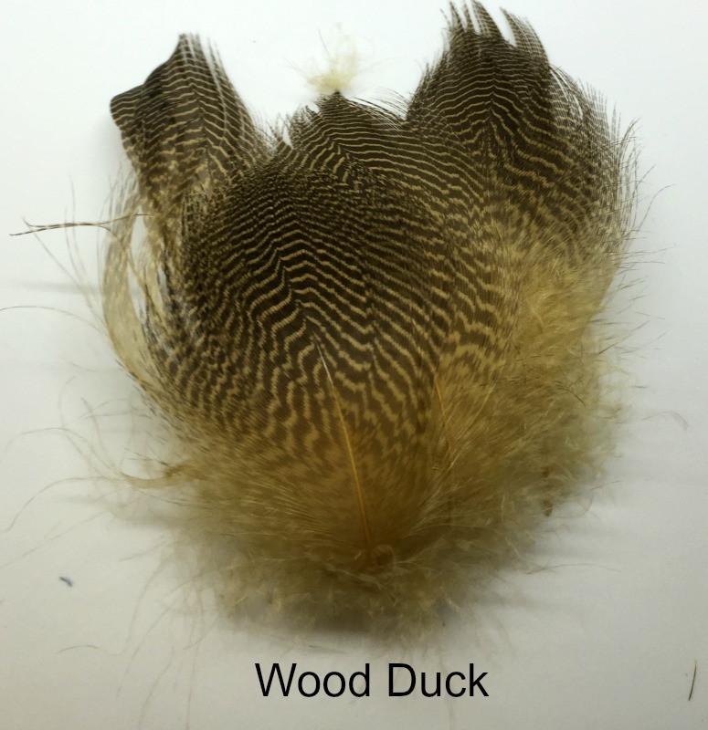 Gadwall Barred Flank - The Trout Spot