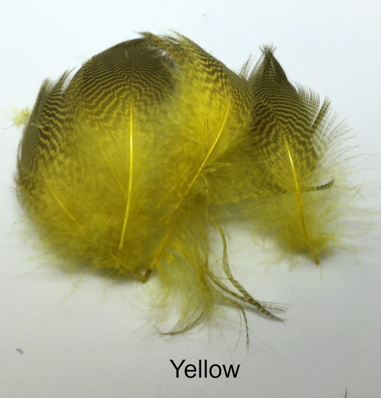 Gadwall Barred Flank - The Trout Spot