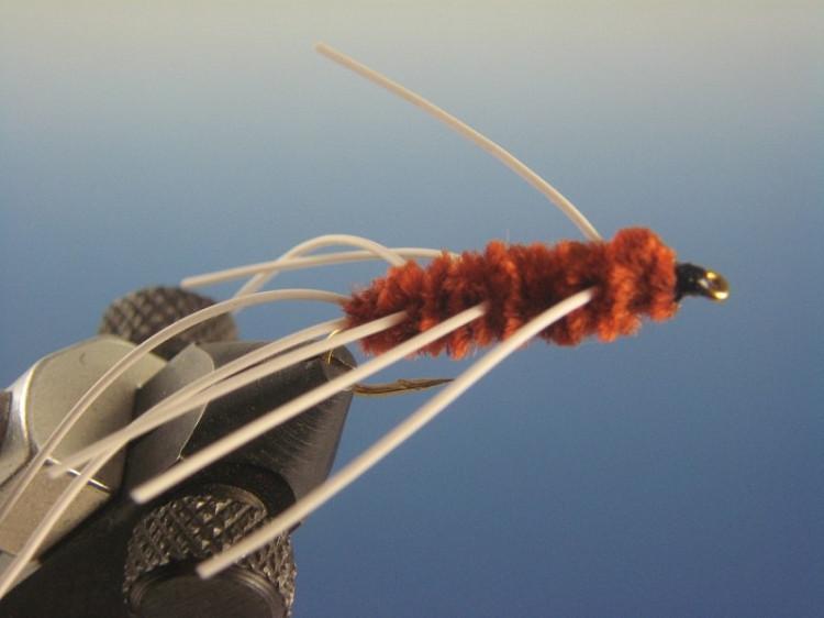 Girdle Bug Brown - The Trout Spot