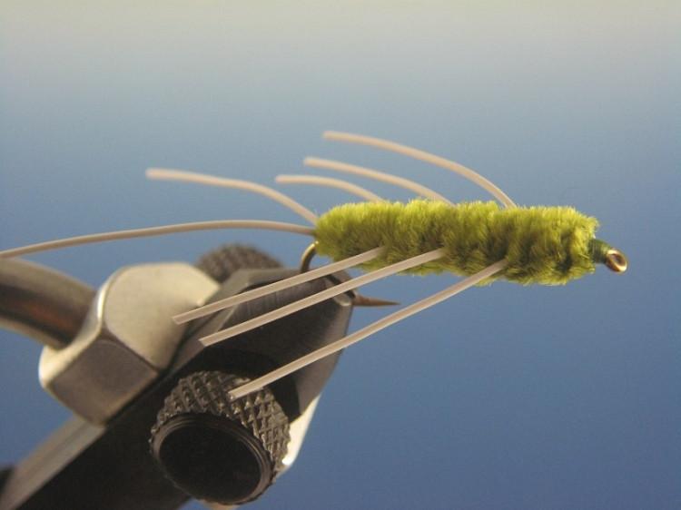Girdle Bug Olive - The Trout Spot