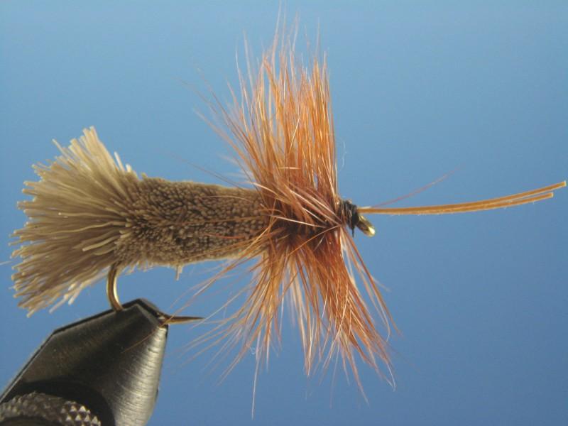 Goddard Caddis - The Trout Spot