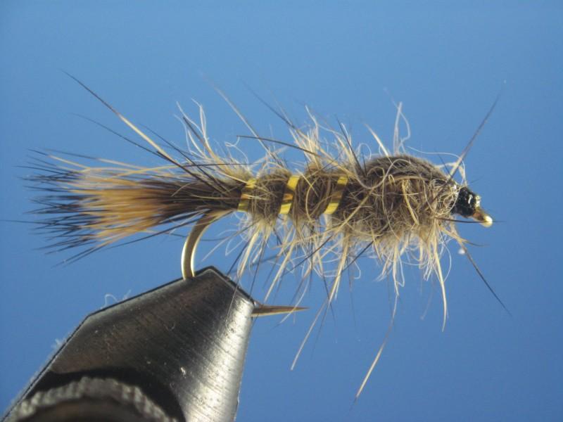 Gold Ribbed Hares Ear - The Trout Spot