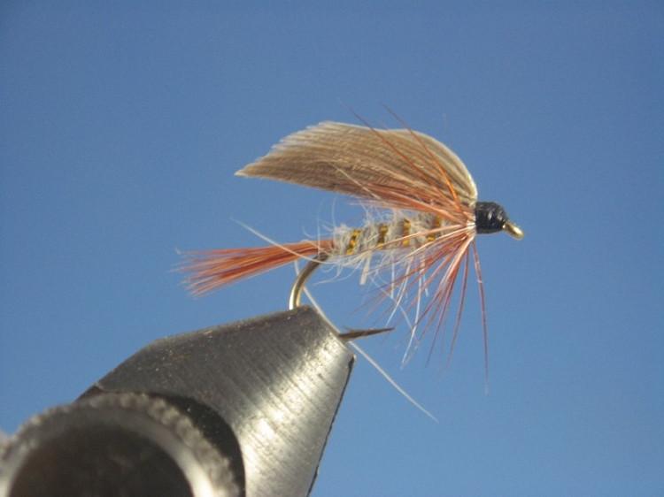 Gold Ribbed Hares Ear Wet Fly - The Trout Spot