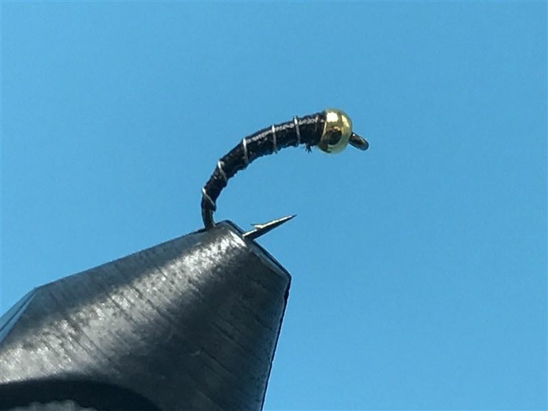 Gold Tungsten Bead Zebra Midge Chocolate - The Trout Spot