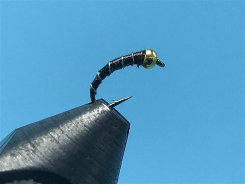 Gold Tungsten Bead Zebra Midge Chocolate - The Trout Spot