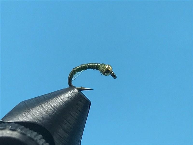 Gold Tungsten Bead Zebra Midge Olive - The Trout Spot