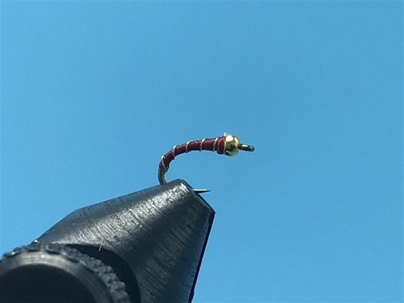 Gold Tungsten Bead Zebra Midge Red - The Trout Spot